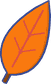Autumn leaf